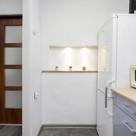 Comfortable One Bedroom Next To The Spodek In By Renters *