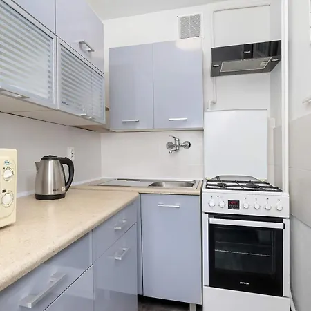 公寓 Comfortable One Bedroom Next To The Spodek In By Renters
