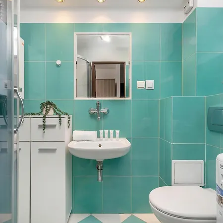 公寓 Comfortable One Bedroom Next To The Spodek In By Renters *