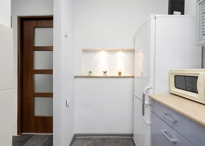 Comfortable One Bedroom Next To The Spodek In By Renters *