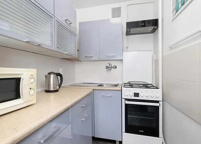 Daire Comfortable One Bedroom Next To The Spodek In By Renters