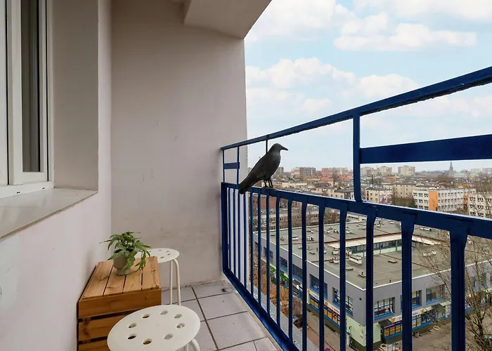 Comfortable One Bedroom Next To The Spodek In By Renters *